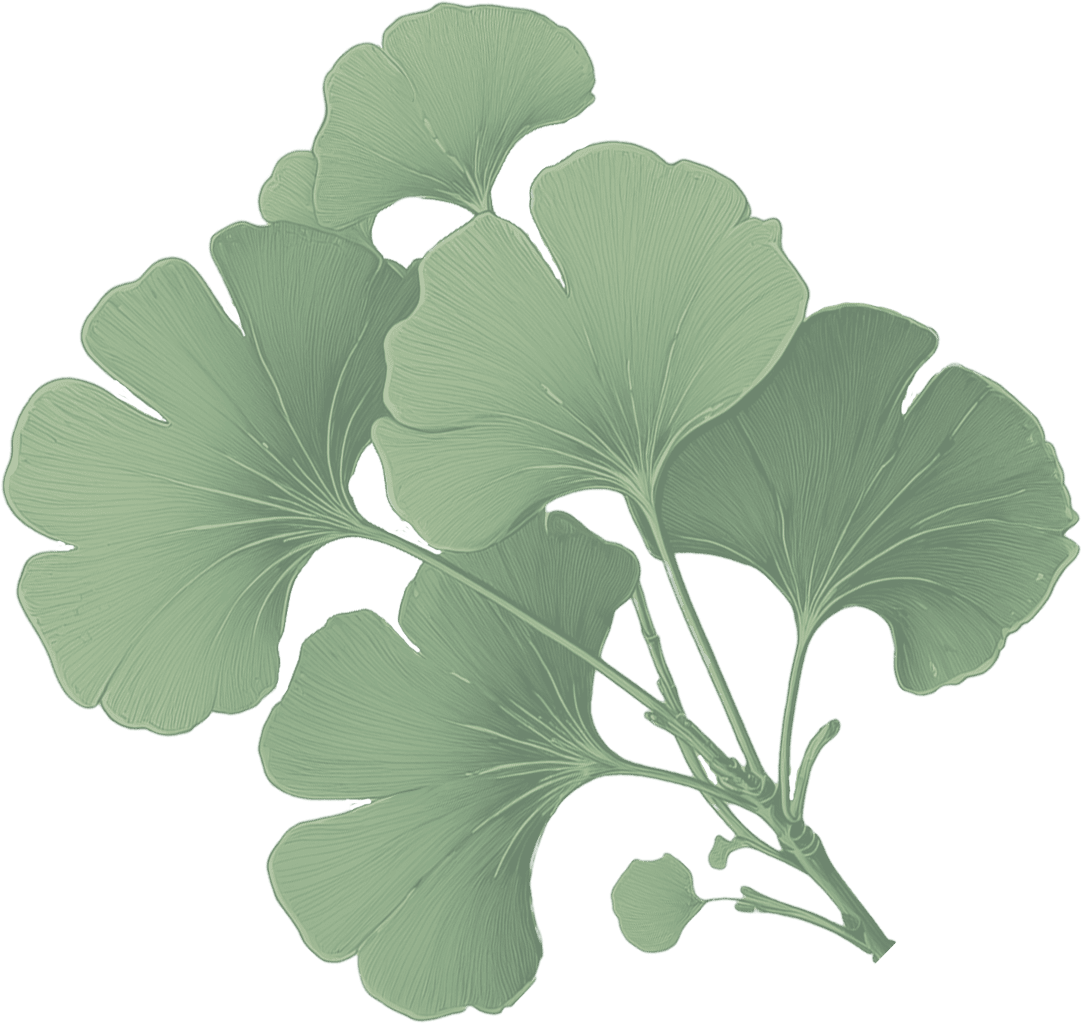 Ginko-Big01