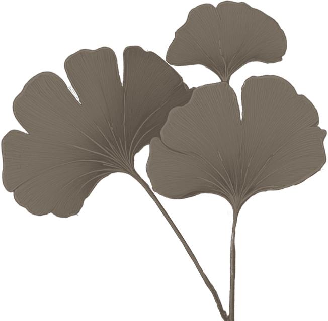 Ginko-Small01