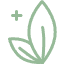 Icon Phytotherapie, Heilpraktiker Aachen, Cengiz Coskun